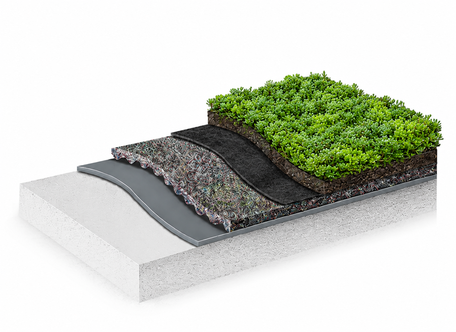 Extensive green roof system build-up